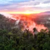 Flyer Drones Hutan Aceh Tamiang