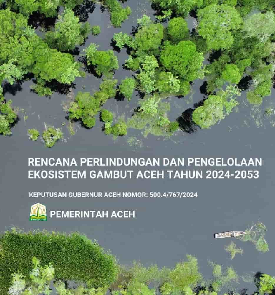 Flyer Dokumen RPPEG Aceh