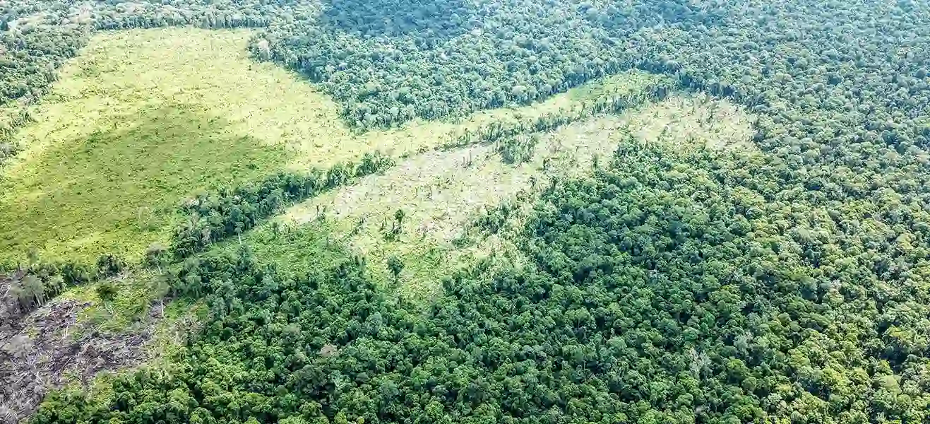 Flyer Menteri LHK SM Rawa Singkil