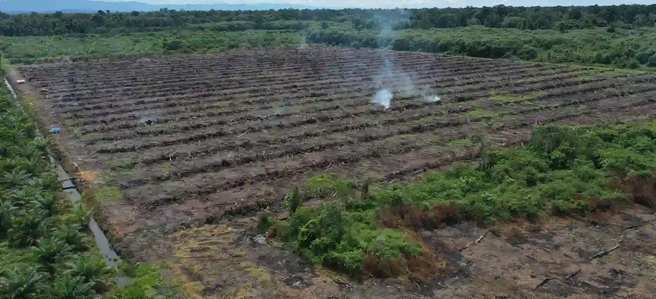 Flyer Peluncuran Film 17 surat cinta