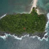 Island Forest Flyer