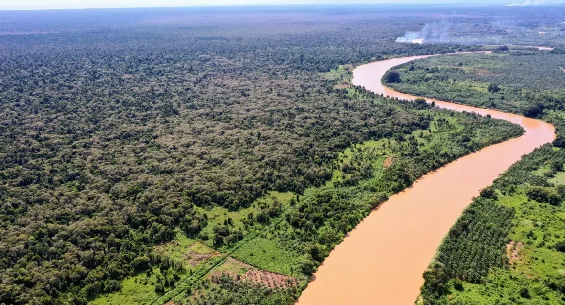 Singkil Swamp Wildlife Sanctuary