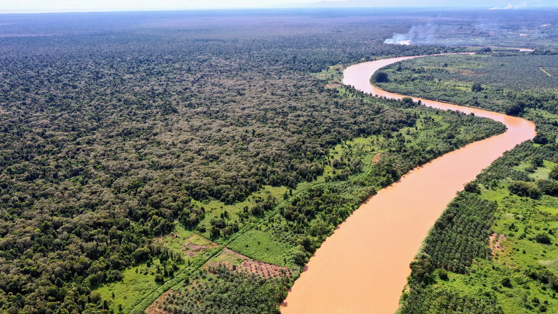 Suaka Margasatwa Rawa Singkil
