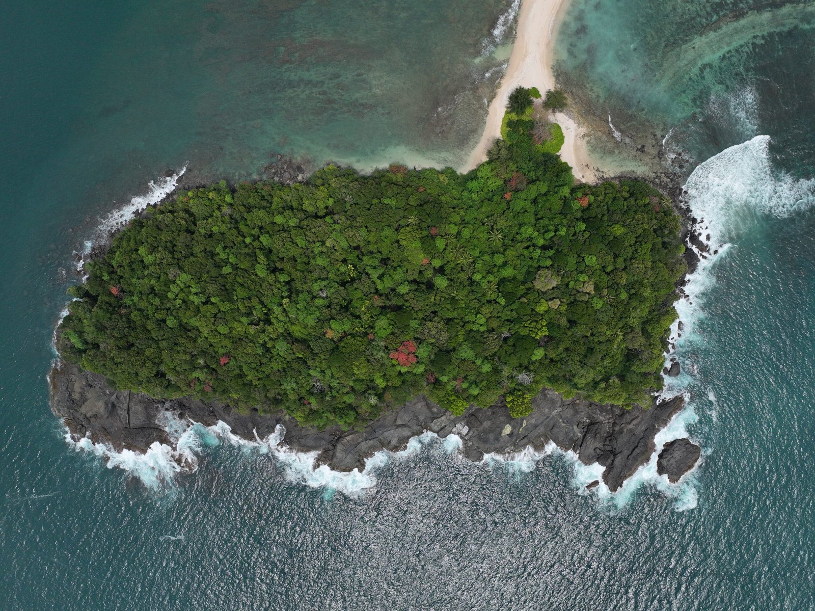 Aceh Jaya coastal forest landscape