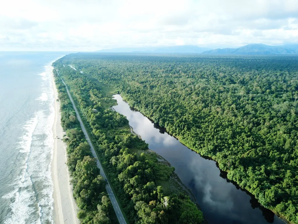 Ekosistem Rawa, Rantau Sialang, Kabupaten Aceh Selatan
