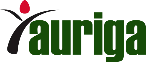 logo auriga nusantara