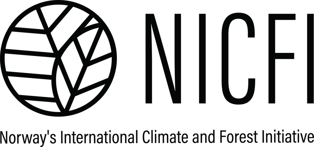 nicfi logo
