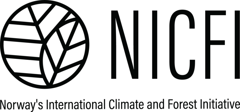 nicfi logo