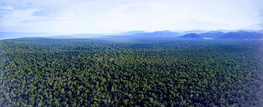 Leuser Ecosystem