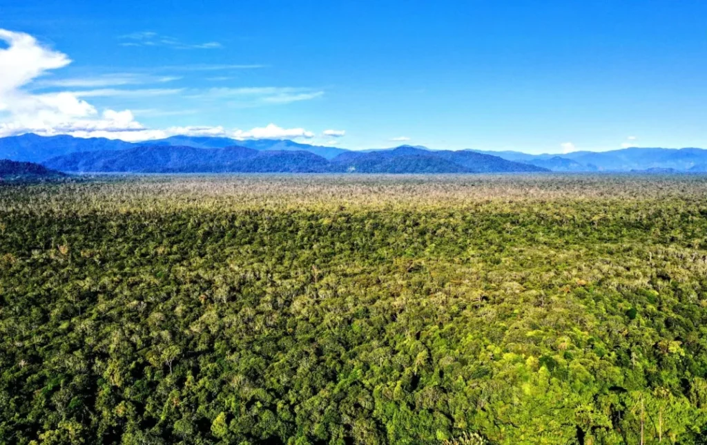 Taman Nasional Gunung Leuser Rawa Kluet