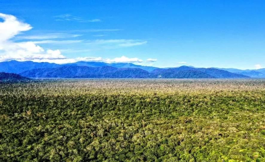 Mount Leuser Rawa Kluet National Park