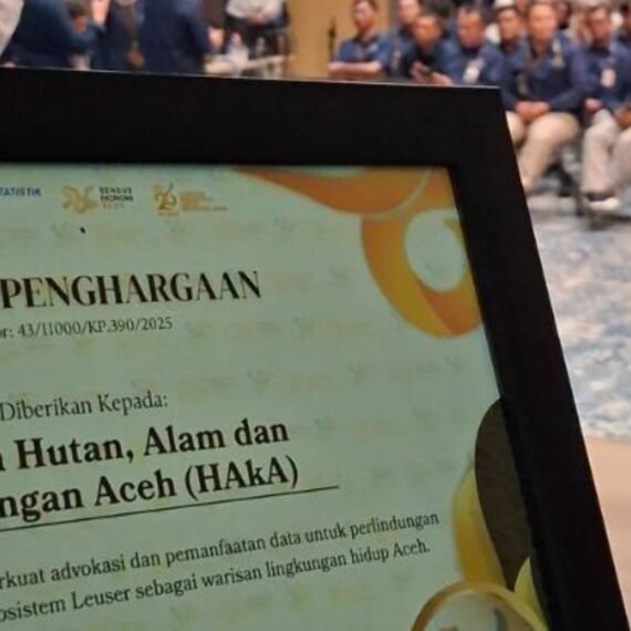 Piagam penghargaan BPS