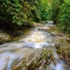 River in the Aceh Forest