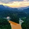 Flyer Kawasan Ekosistem Leuser