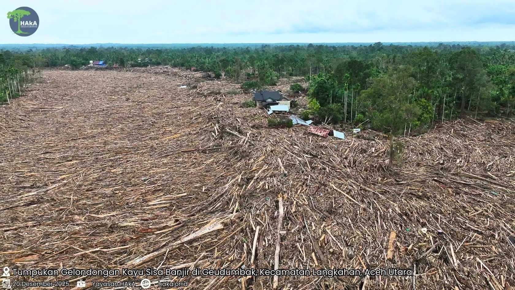 Tumpukan Gelondongan Kayu Sisa Banjir di Desa Geudumbak, Langkahan, Aceh Utara