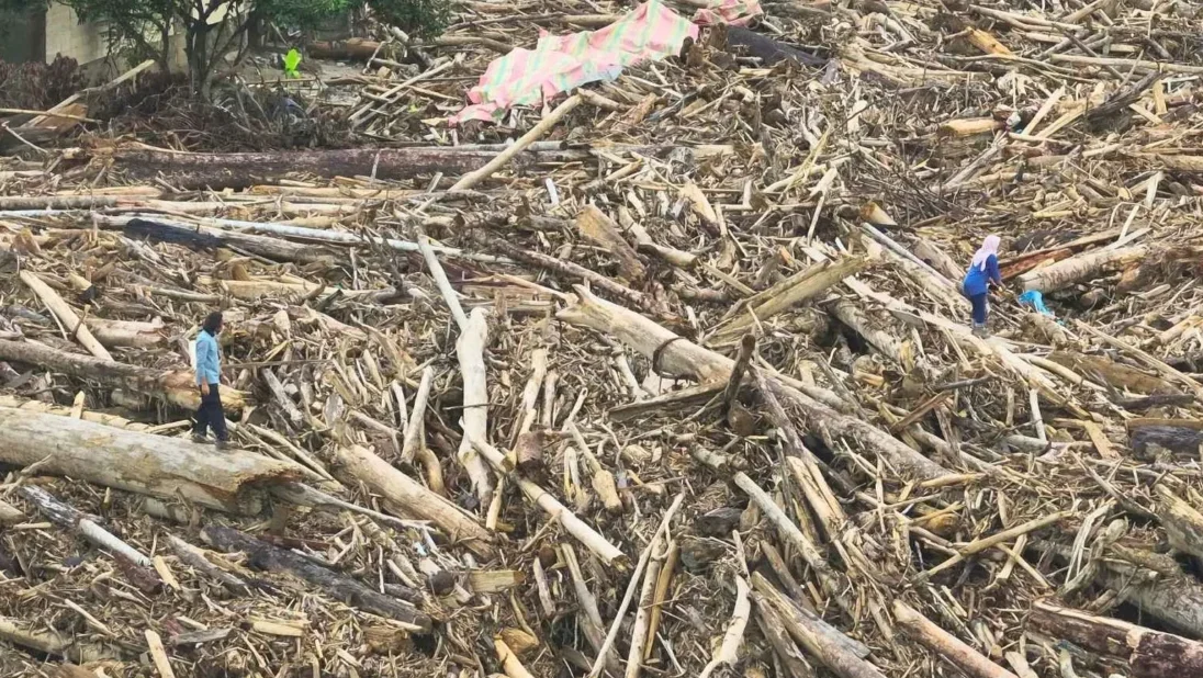 Tumpukan Gelondongan Kayu Sisa Banjir di Desa Geudumbak, Langkahan, Aceh Utara