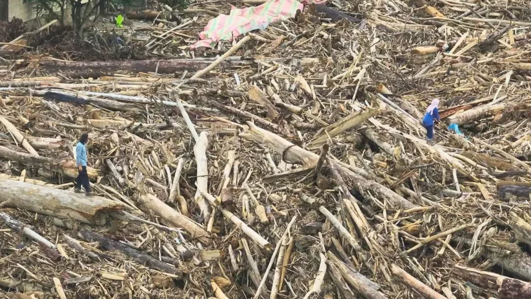 Piles of Flood-Remaining Logs in Geudumbak Village, Langkahan, Aceh Utara