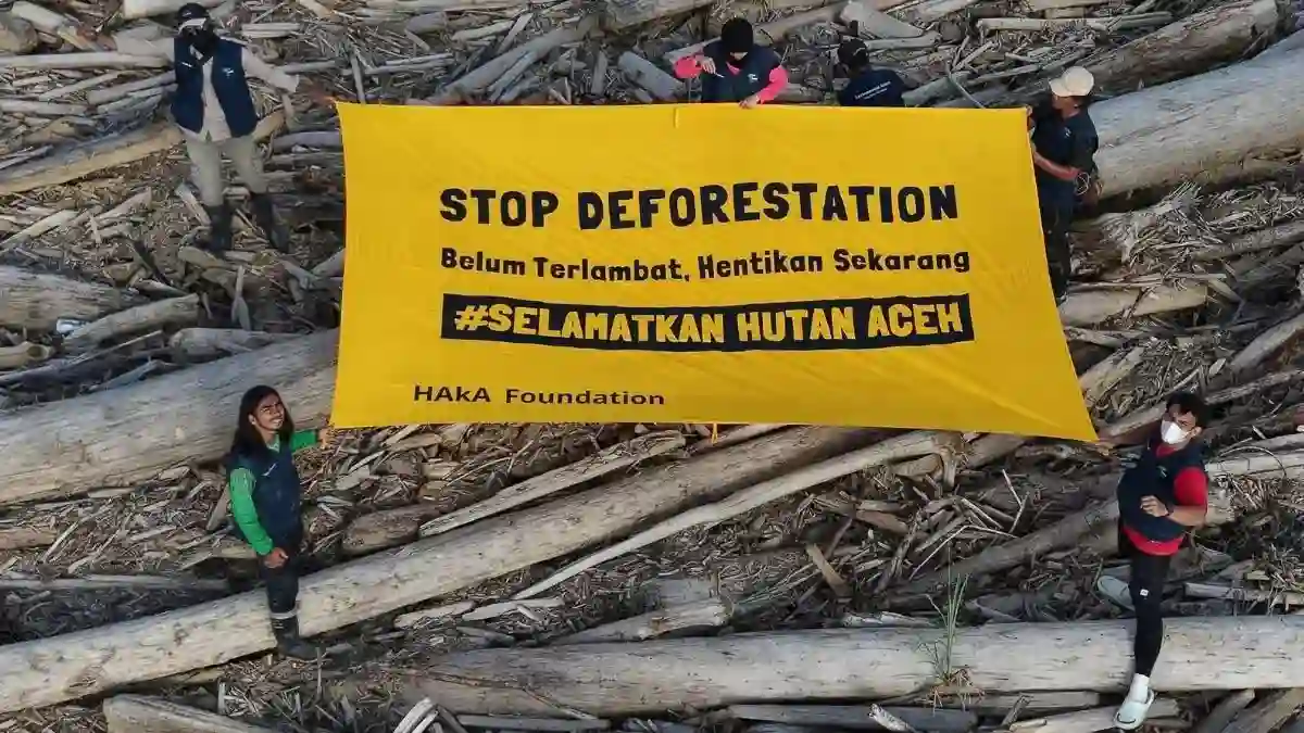 Flyer Kampanye Stop Deforestasi