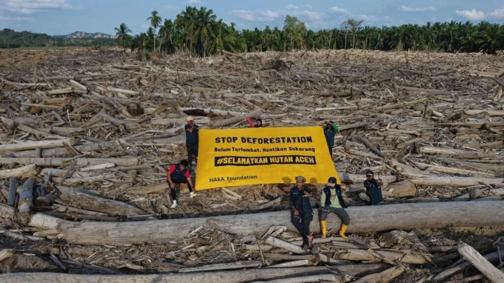 Kampanye Hentikan Deforestasi di Aceh