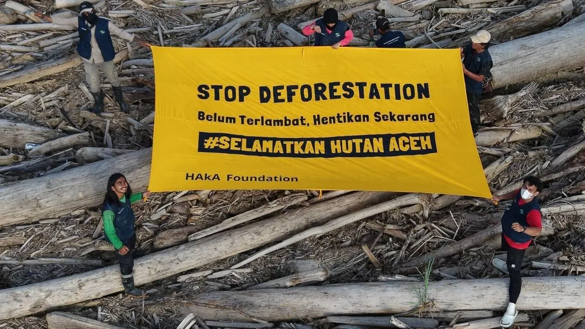 Kampanye Hentikan Deforestasi di Aceh