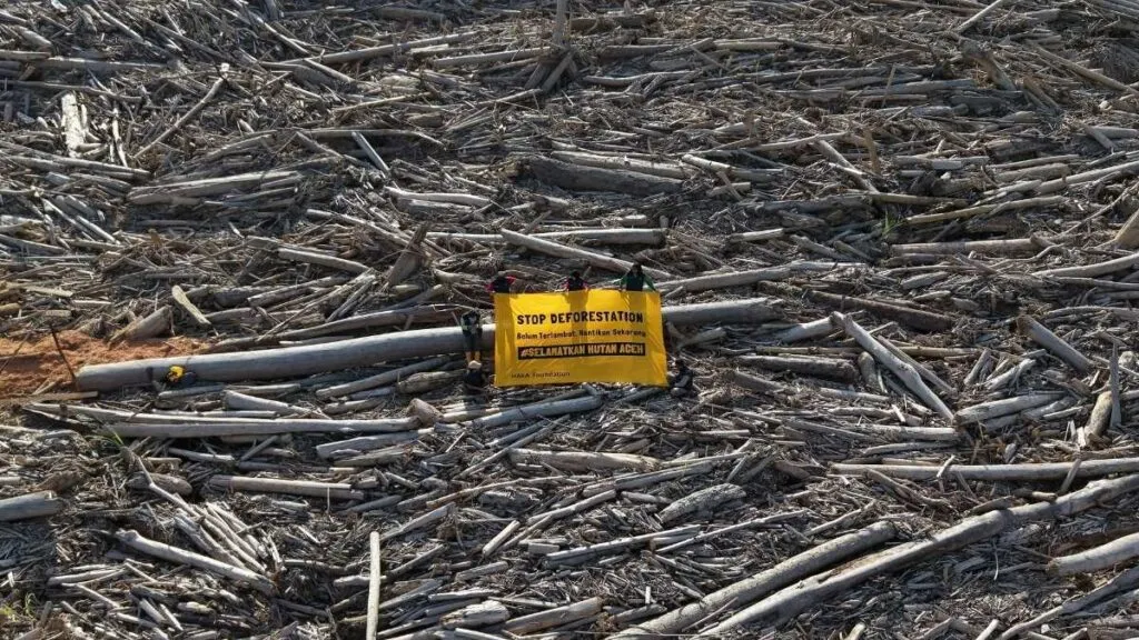 Kampanye Hentikan Deforestasi di Aceh