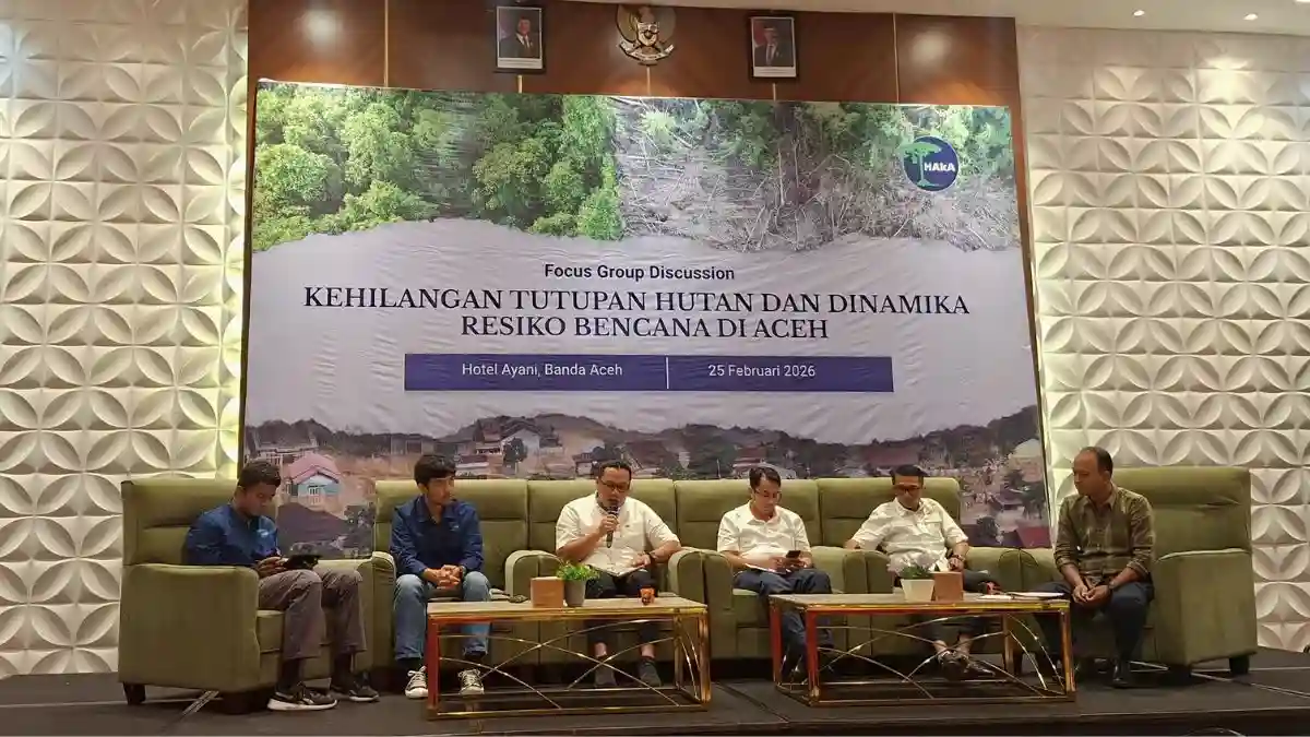 Flyer Konferensi Pers Kehilangan Hutan 2025