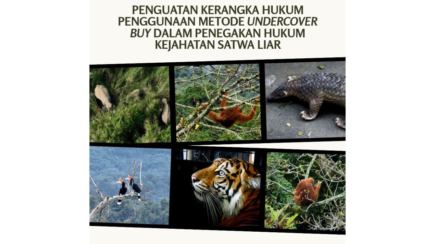 Policy Brief Undercover Buy