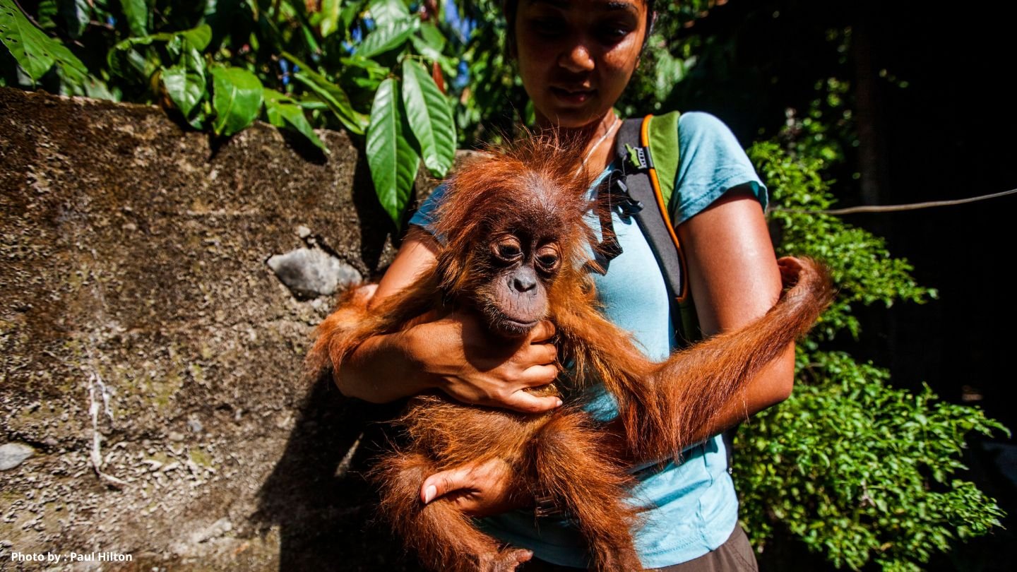 Farwiza Farhan, Aktivis Aceh Raih Rolex Awards 2026