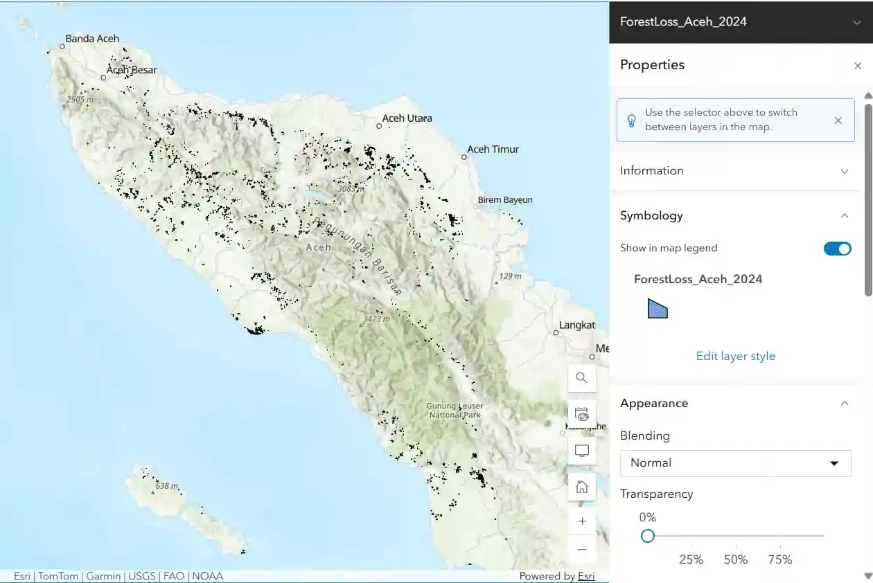 Flyer Shapefiles Forest Loss 2024