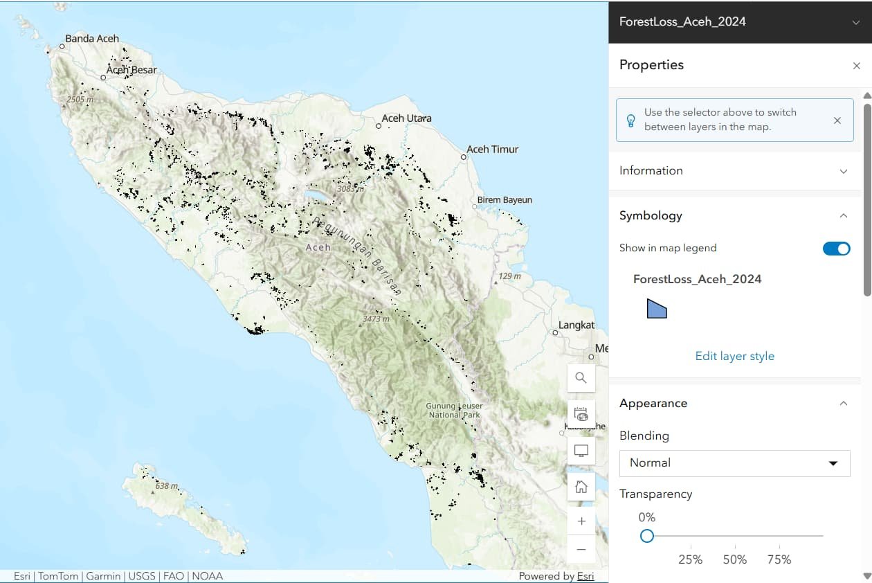 Forest Loss 2024 HAkA