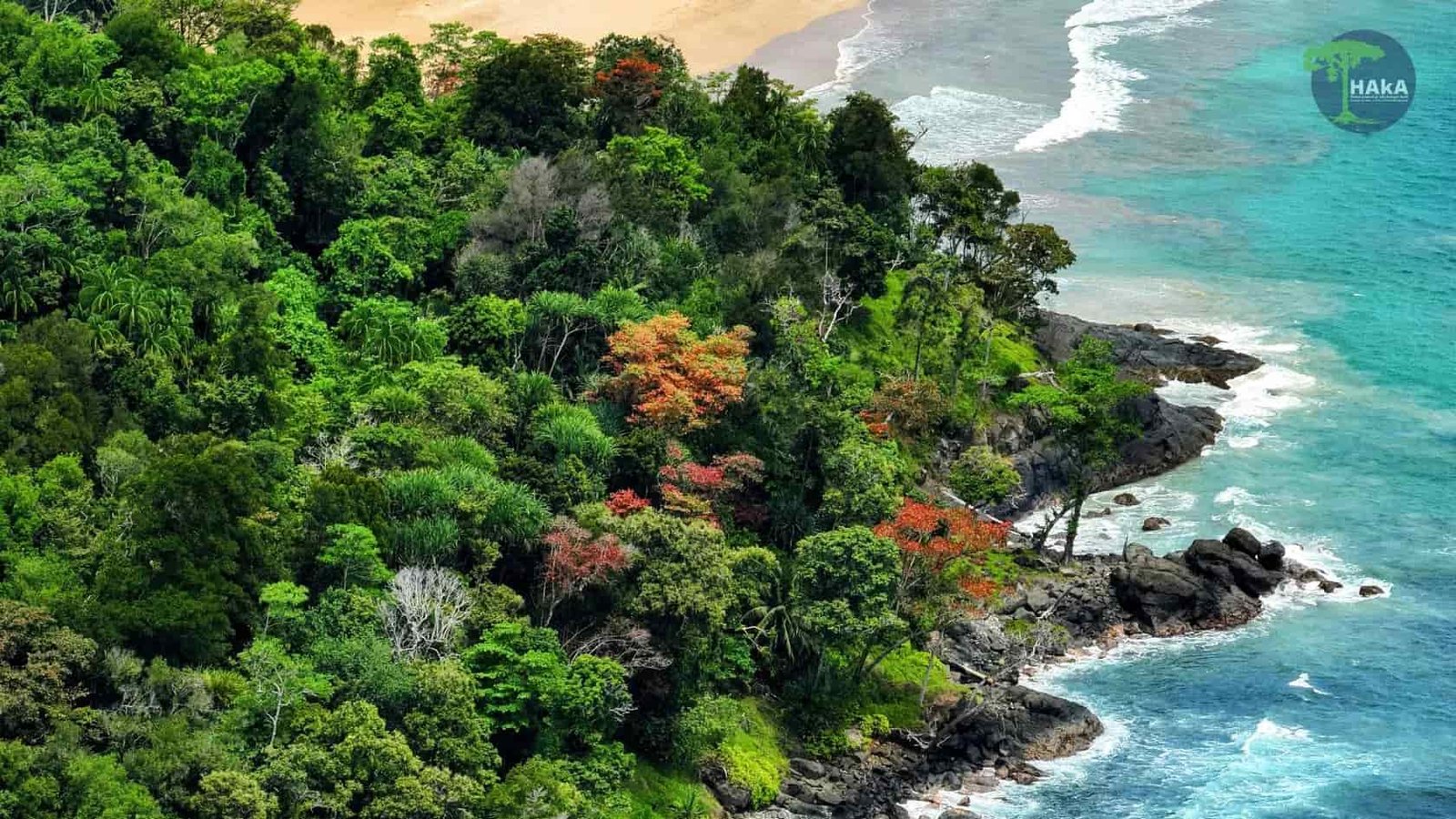 Foto_Hutan_Pantai