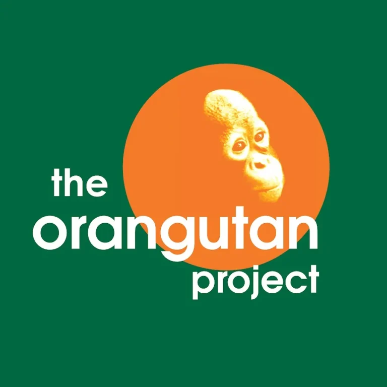 Logo The Orangutan Project