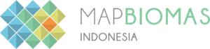 logo mapbiomas