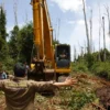 HAkA Stops Tripa Swamp Destruction