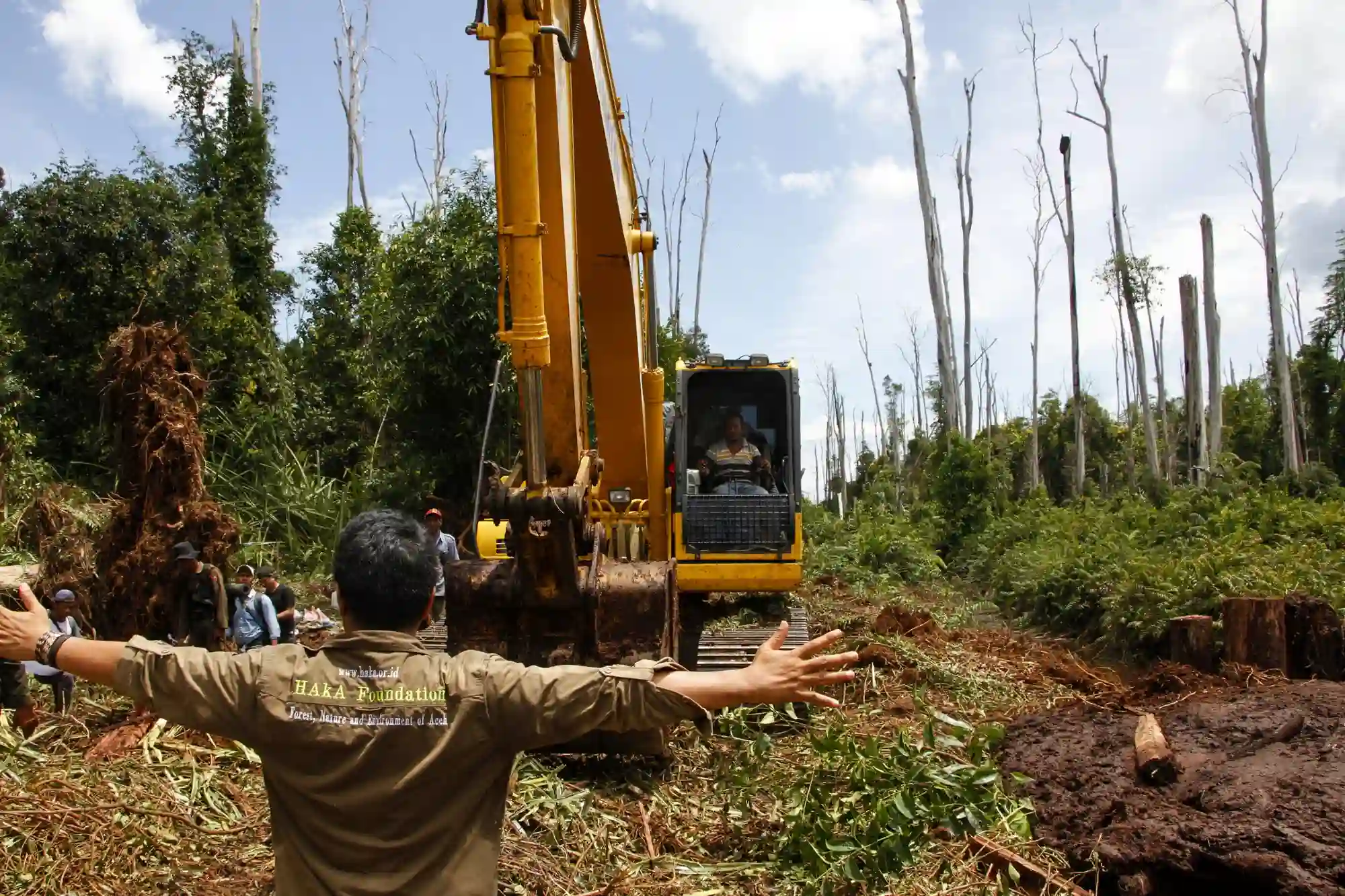 HAkA Stops Tripa Swamp Destruction