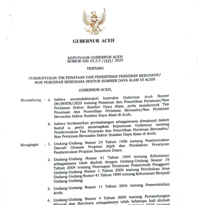 Flyer SK Tim Penataan dan Penertiban Perizinan SDA Aceh