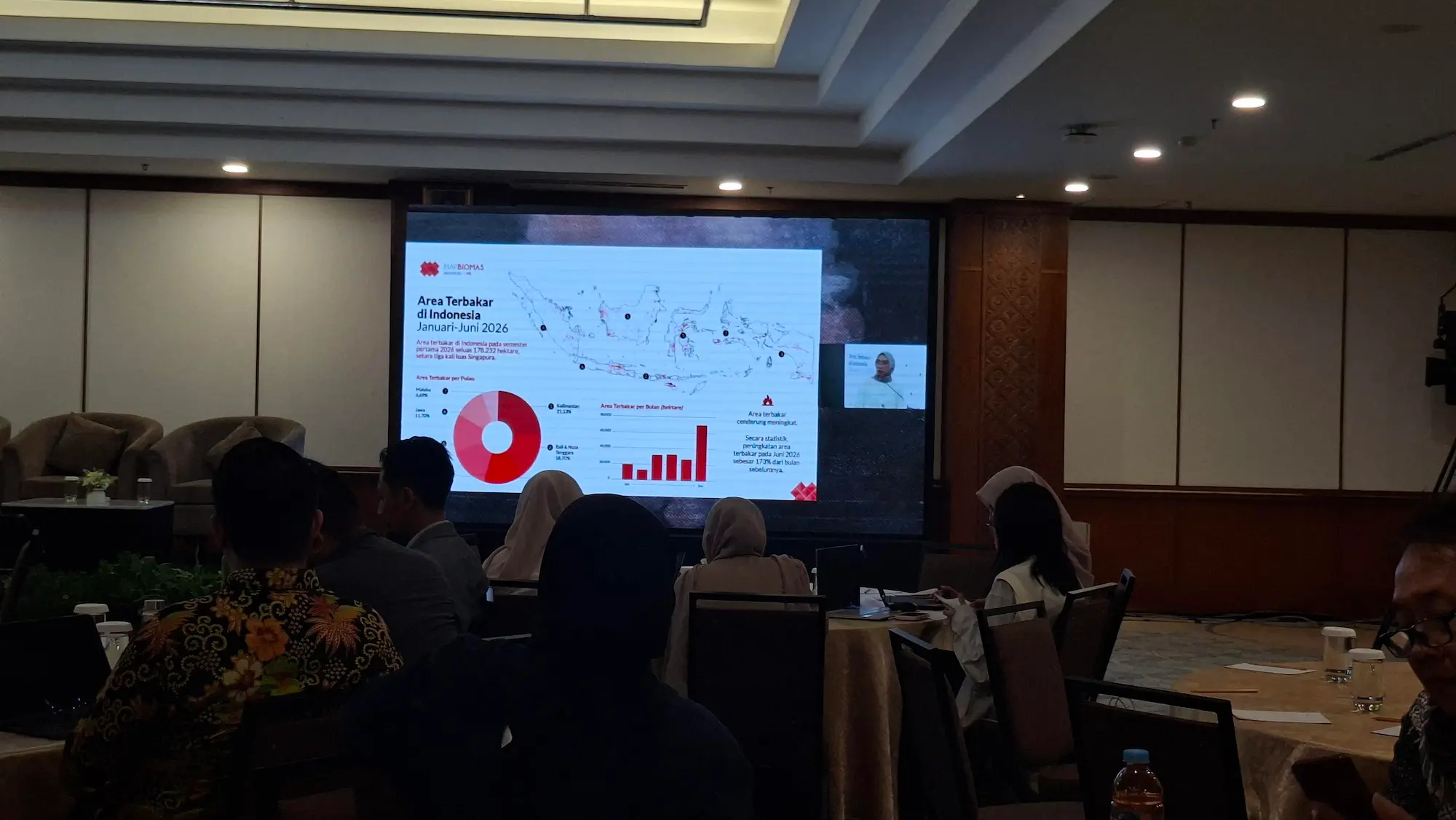 Area Terbakar di Indonesia
