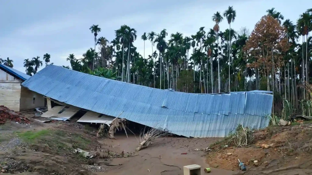 Dari Banjir ke Pembibitan 1
