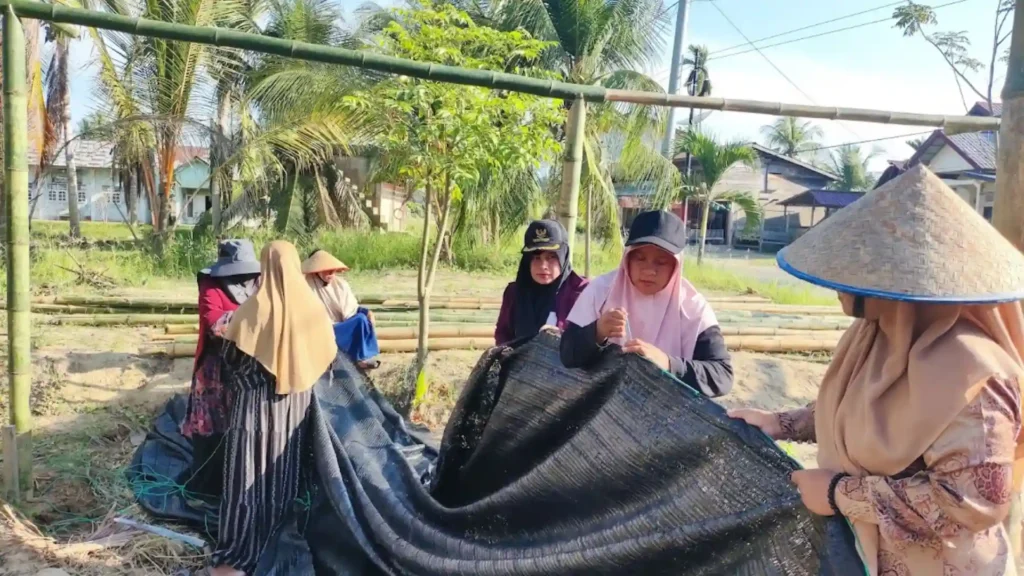 Dari Banjir ke Pembibitan 2