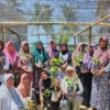Dari Banjir ke Pembibitan 4