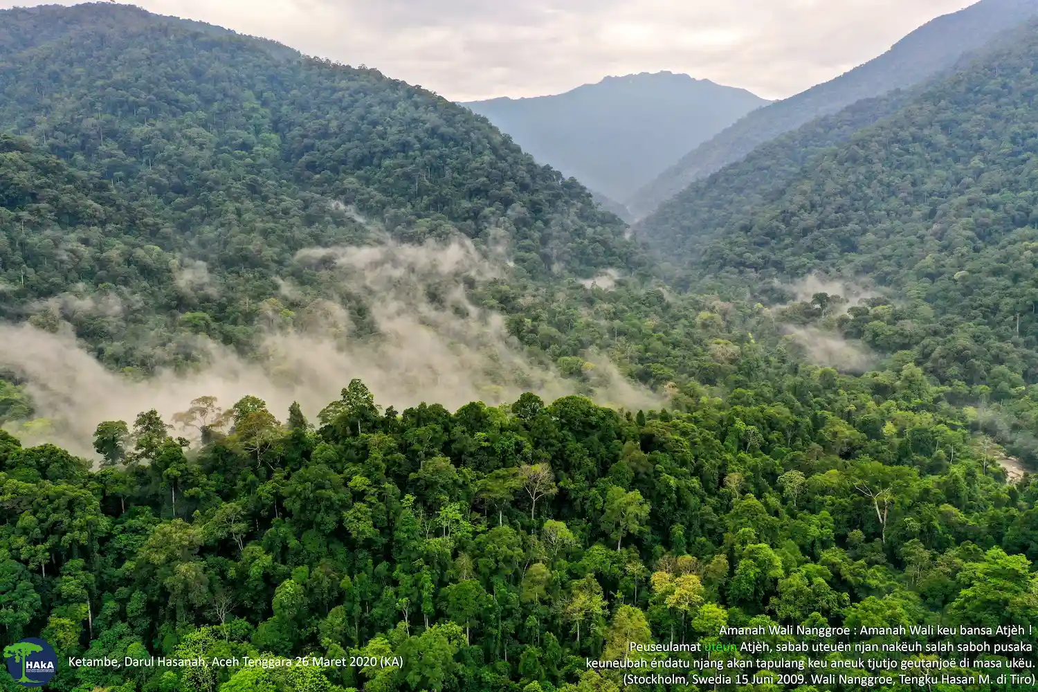 Flyer Keindahan Hutan Aceh