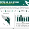 Data Visualization Flyer
