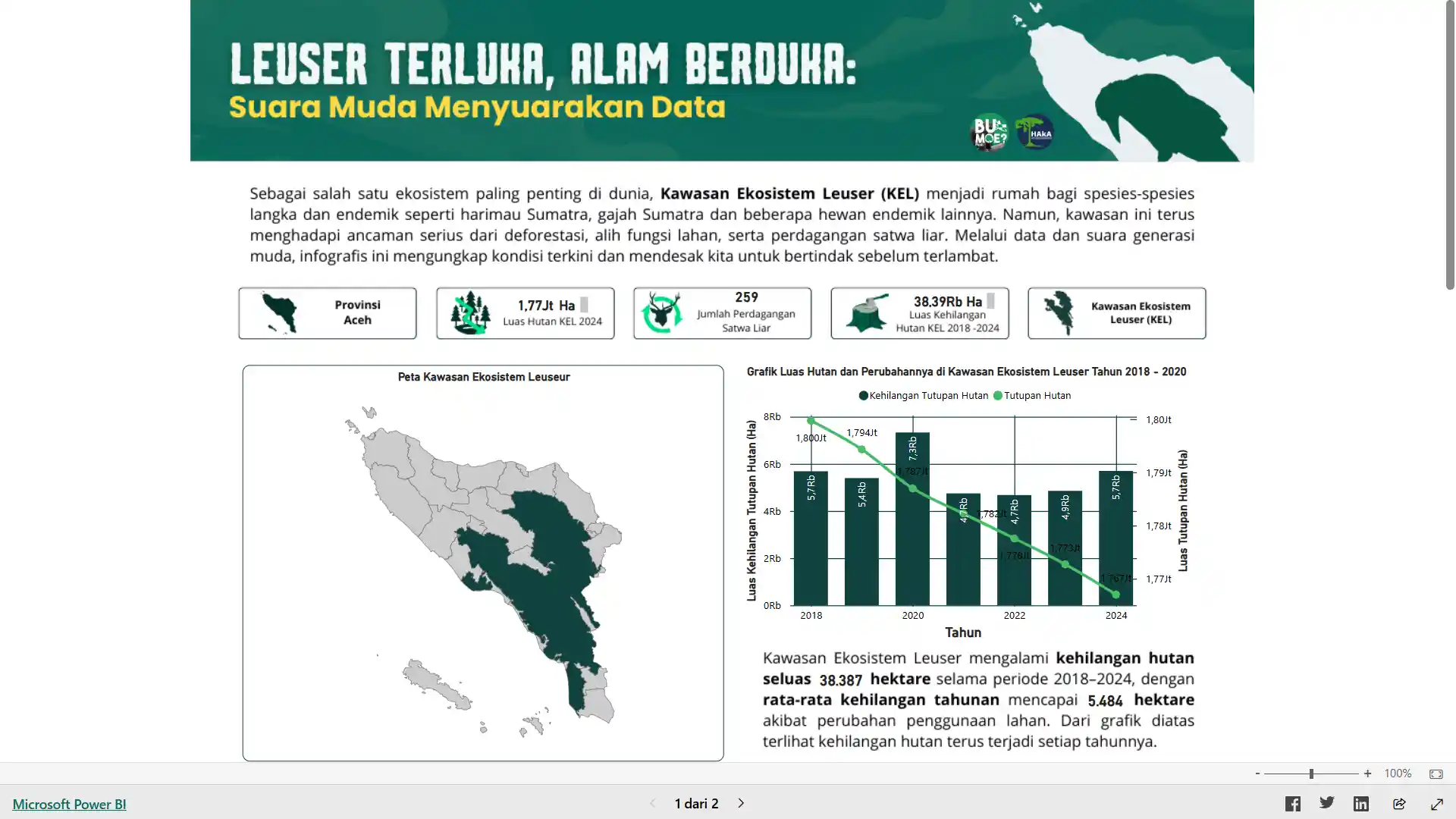 Data Visualization Flyer