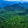 Hutan Aceh