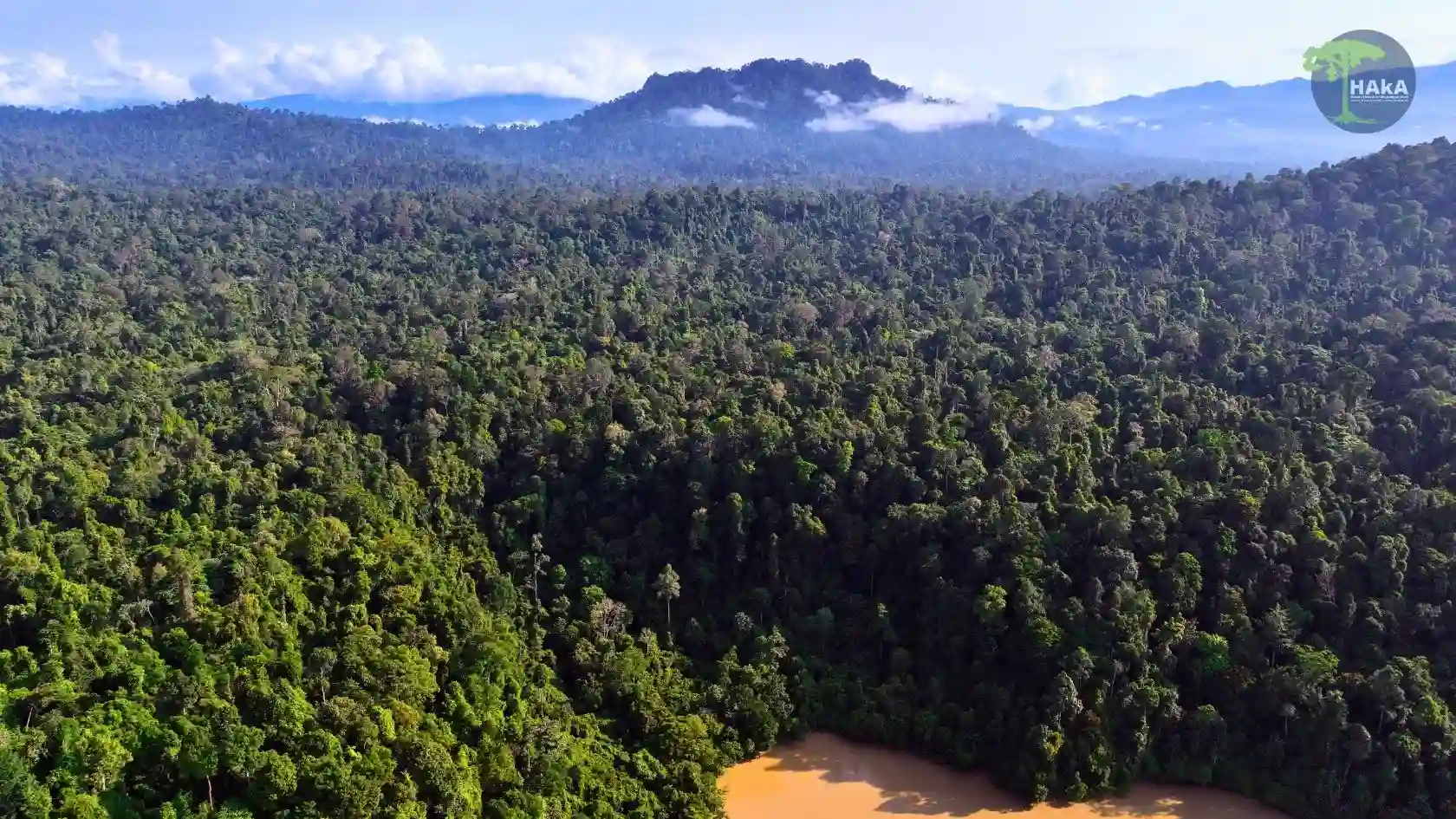 Ilustrasi Hutan Kemasyarakatan
