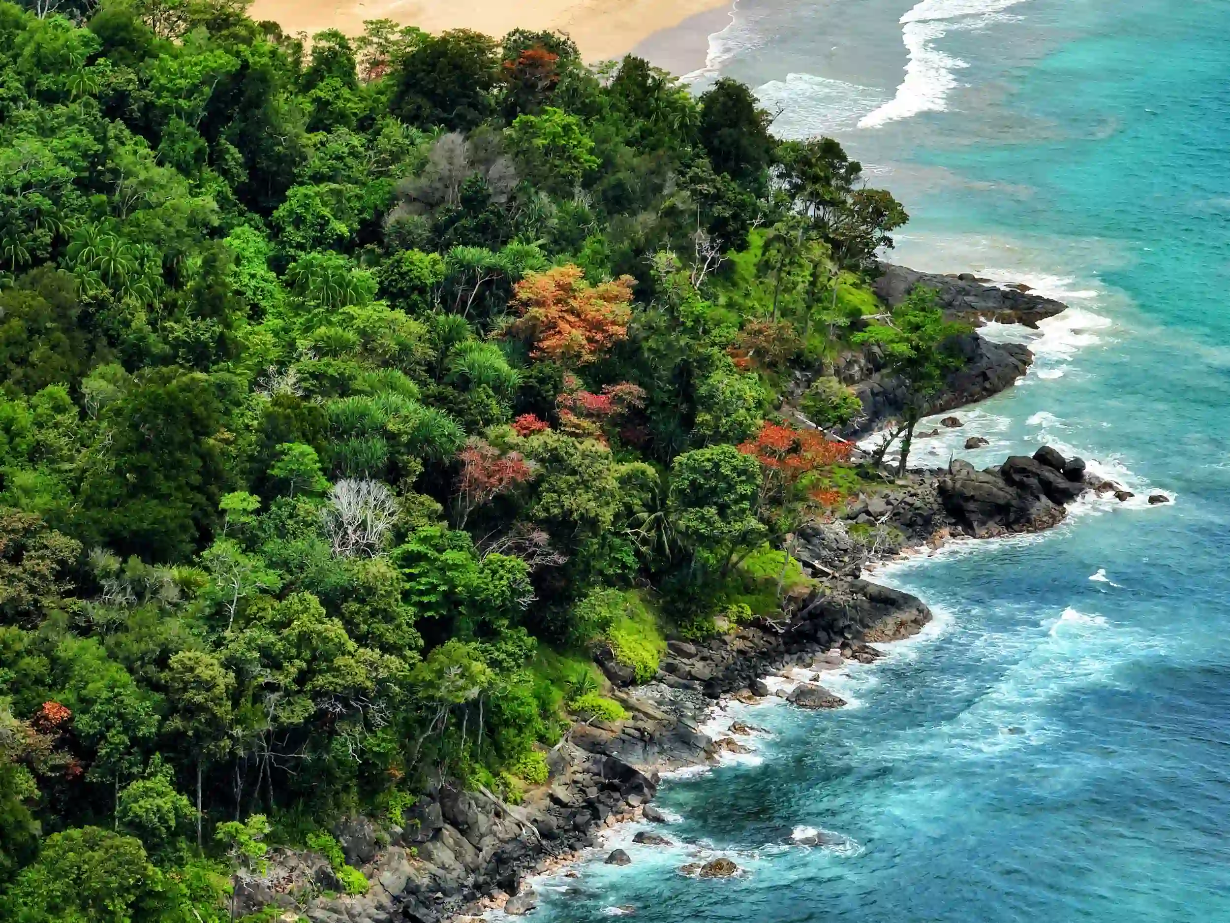 Laut Biru Hutan Hijau dan Pasir Putih Aceh