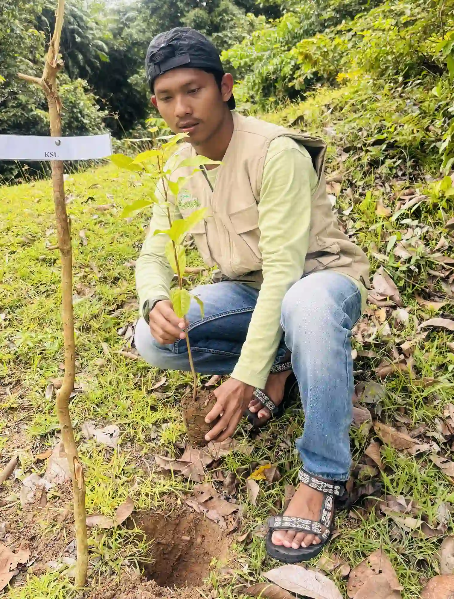 Tree Planting at STIK Pante Kulu