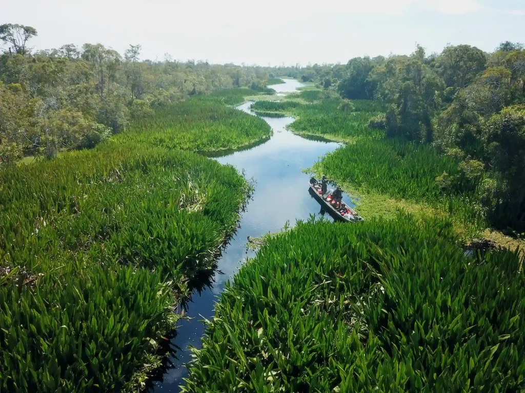 Sungai di Rawa Singkil